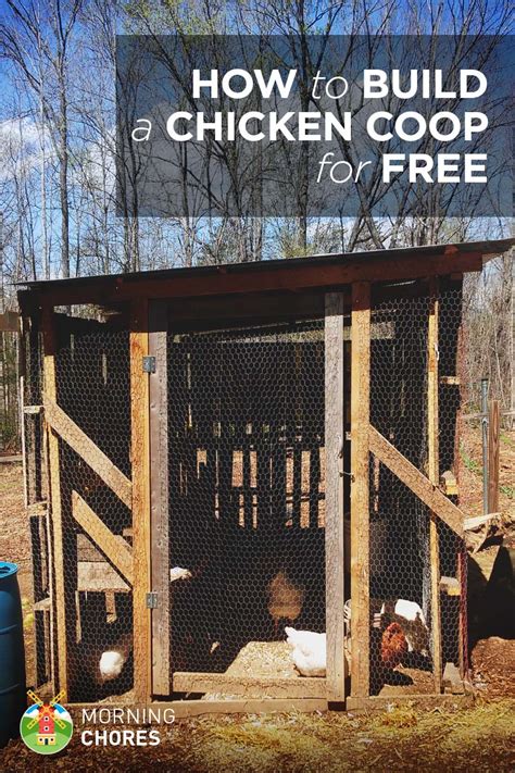 How to Build a (Practically) Free Chicken Coop in 8 .